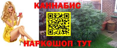 мет Будённовск