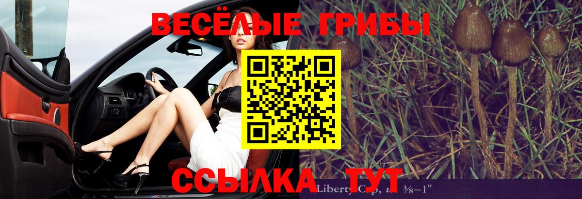 Псилоцибиновые грибы Magic Shrooms Мегион